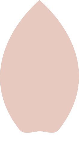 Vector-5a (1)